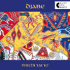 kiadvany_djabe_witchitaito_2LP_front Djabe – Witchi Tai To 20th Anniversary Edition (2LP) cover